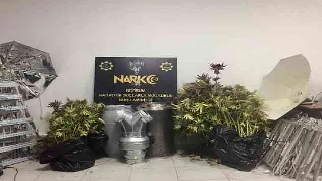 EVİ KENEVİR BAHÇESİNE ÇEVİRMİŞ