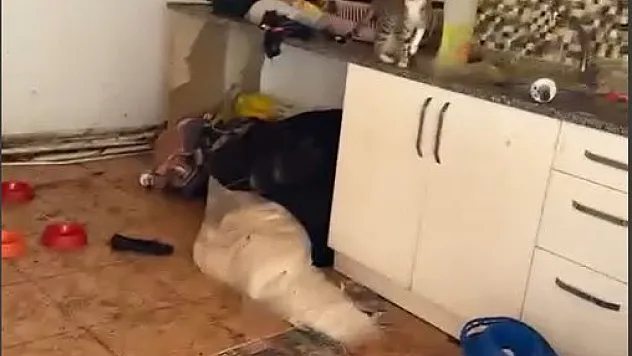 Evin kilidini değiştirerek işgal etti