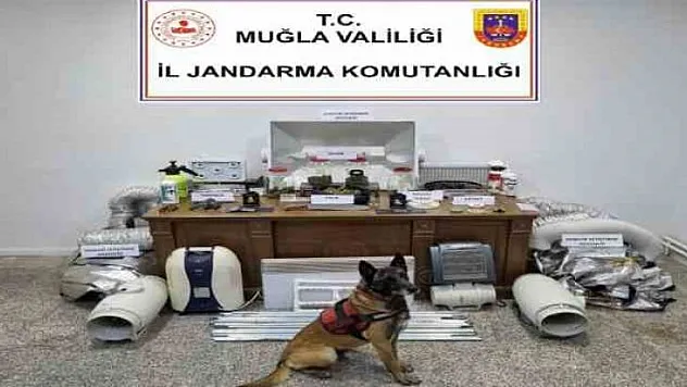 EVİNİ UYUŞTURUCU TARLASINA ÇEVİRMİŞ