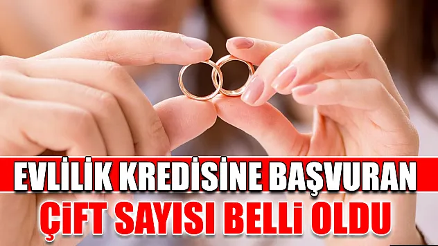 Evlilik kredisine başvuran çift sayısı belli oldu