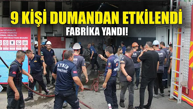Fabrika yangını: 9 kişi dumandan etkilendi