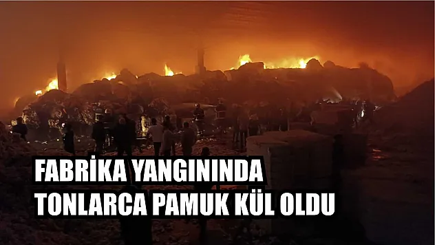 Fabrika Yangınında Tonlarca Pamuk Kül Oldu