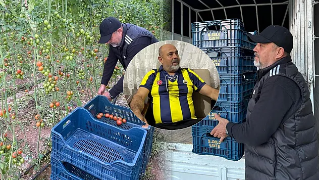 Fanatik üreticinin 'Kante' sevgisi: Domatesleri topladığı kasaya bile onun adını yazdırdı