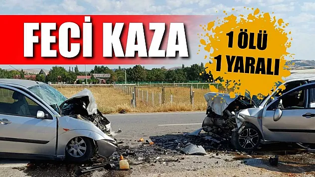 Feci Kaza: 1 ölü, 1 yaralı