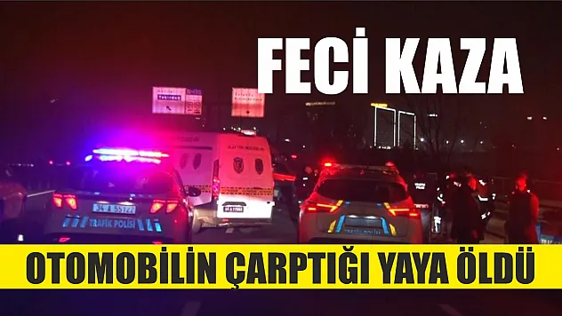 Feci kaza: Otomobilin çarptığı yaya öldü