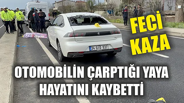 Feci kaza: Otomobilin çarptığı yaya hayatını kaybetti