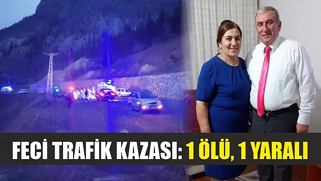 Feci trafik kazası: 1 ölü, 1 yaralı