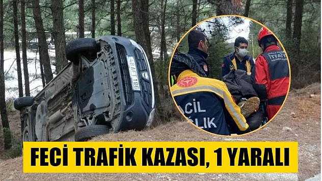 Feci trafik kazası, 1 yaralı