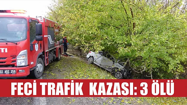 Feci trafik  kazası: 3 ölü