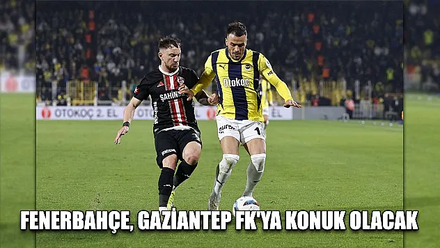 Fenerbahçe, Gaziantep FK'ya konuk olacak