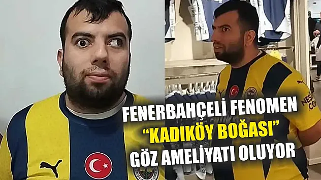Fenerbahçeli Fenomen 'Kadıköy Boğası' Göz Ameliyatı Oluyor