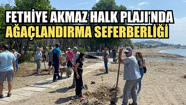 Fethiye Akmaz Halk Plajı'nda Ağaçlandırma Seferberliği