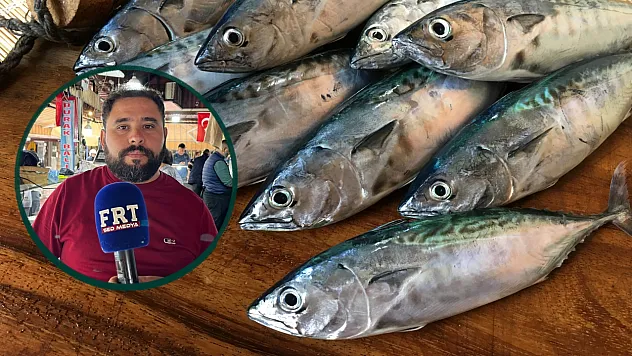 Fethiye Balık Hali'nde Palamut Bereketi: Balıkçıdan Sezon Uyarısı
