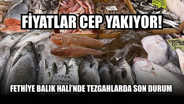 Fethiye Balık Hali'nde tezgahlarda son durum: Fiyatlar cep yakıyor!