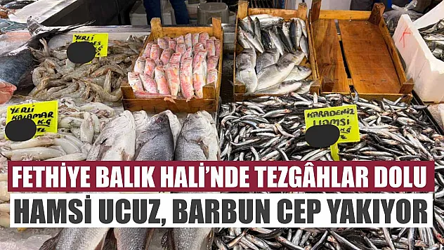 Fethiye Balık Hali'nde tezgâhlar dolu: Hamsi ucuz, Barbun cep yakıyor