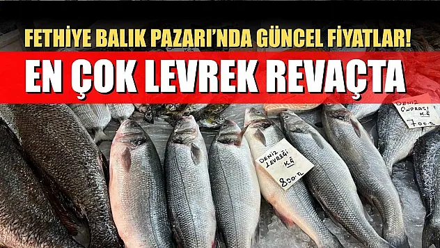 Fethiye Balık Pazarı'nda Güncel Fiyatlar! En Çok Levrek Revaçta