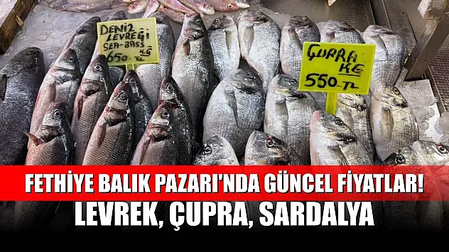 Fethiye Balık Pazarı'nda Güncel Fiyatlar! Levrek, Çupra, Sardalya