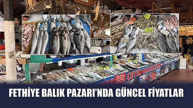Fethiye Balık Pazarı'nda Güncel Fiyatlar