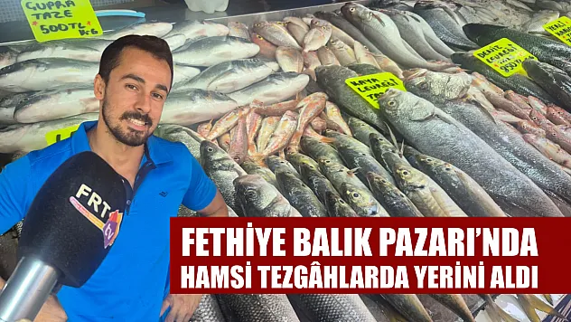 Fethiye Balık Pazarı'nda Hamsi Tezgâhlarda Yerini Aldı