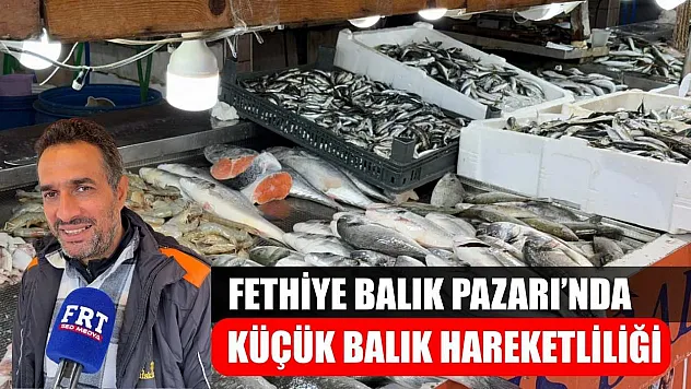 Fethiye Balık Pazarı'nda Küçük Balık Hareketliliği