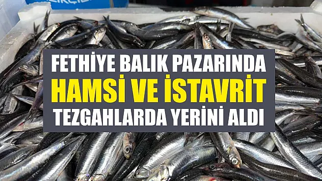 Fethiye Balık Pazarında Hamsi ve İstavrit Tezgahlarda Yerini Aldı