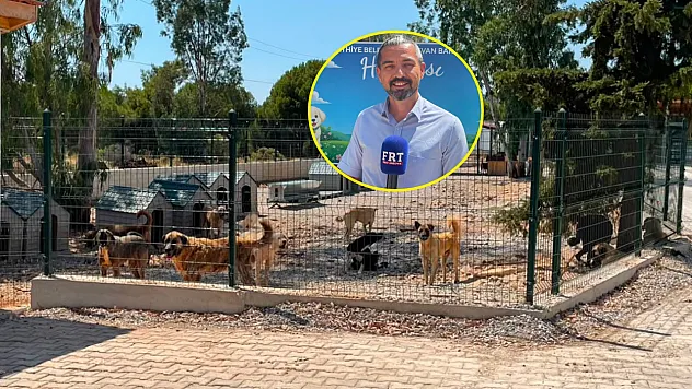Fethiye Belediyesi'nden sokak hayvanlarına modern yaşam alanı