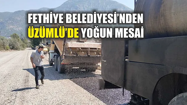 Fethiye Belediyesi'nden Üzümlü'de yoğun mesai