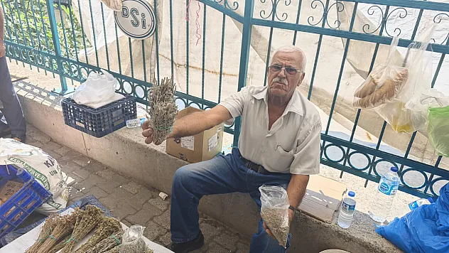 Fethiye Cuma Pazarı'nda Doğal Şifa Adaçayı İlgi Görüyor