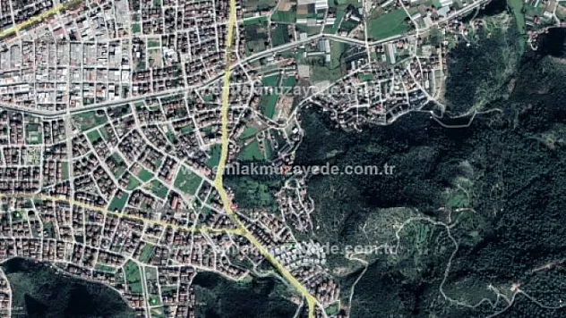 Fethiye'de 5 arsa açık artırma ile satışa sunuldu