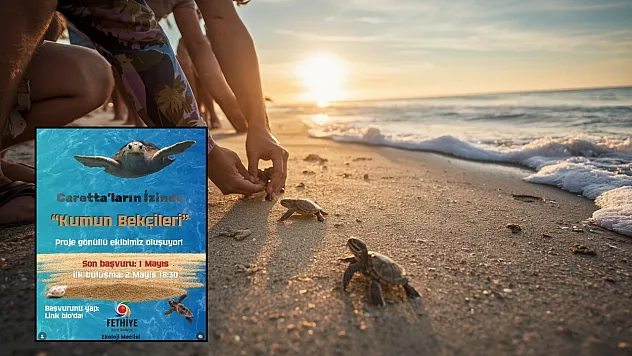 Fethiye'de Caretta Caretta sezonu başlıyor: 'Kumun Bekçileri' gönüllüleri göreve çağrıldı