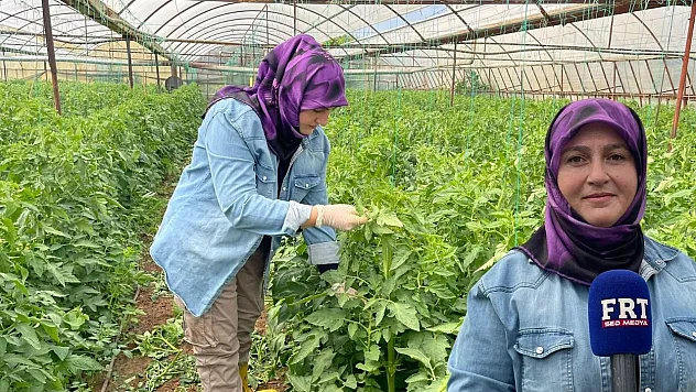 Fethiye'de Çiftçilik Yapıyor, Sosyal Medyada Üretimi Anlatıyor