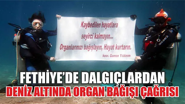 Fethiye'de dalgıçlardan deniz altında organ bağışı çağrısı