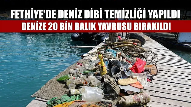 Fethiye'de deniz dibi temizliği yapıldı ve denize 20 bin balık yavrusu bırakıldı