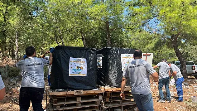Fethiye'de Doğal Yaşama Destek: Arı İçme Suyu Noktaları Yenilendi