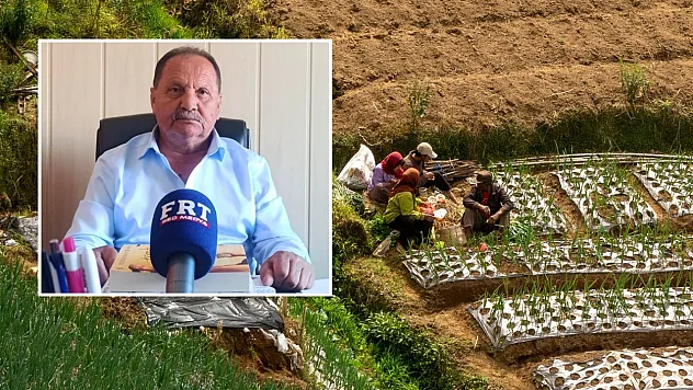 Fethiye'de domates fiyatları üreticiyi memnun etti: Gözler girdi maliyetlerinde
