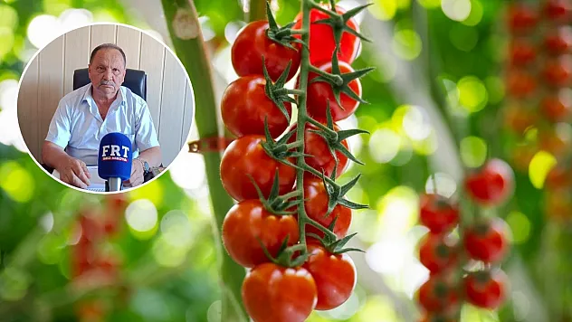 Fethiye'de domates sezonu sona yaklaştı: İç piyasa ve salça dönemi