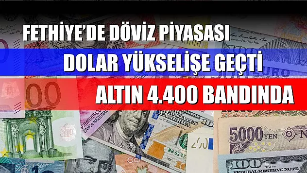 Fethiye'de Döviz Piyasası: Dolar Yükselişe Geçti, Altın 4.400 Bandında