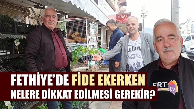 Fethiye'de fide ekerken nelere dikkat edilmesi gerekir?
