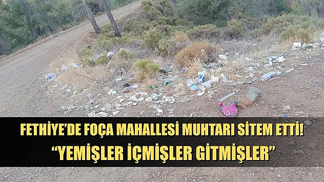 Fethiye'de Foça Mahallesi Muhtarı Sitem Etti! 'Yemişler İçmişler Gitmişler'