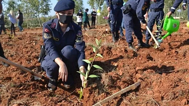 Fethiye'de geleceğe nefes