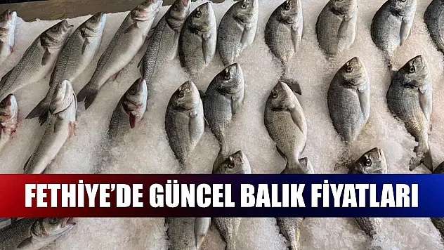 Fethiye'de güncel balık fiyatları