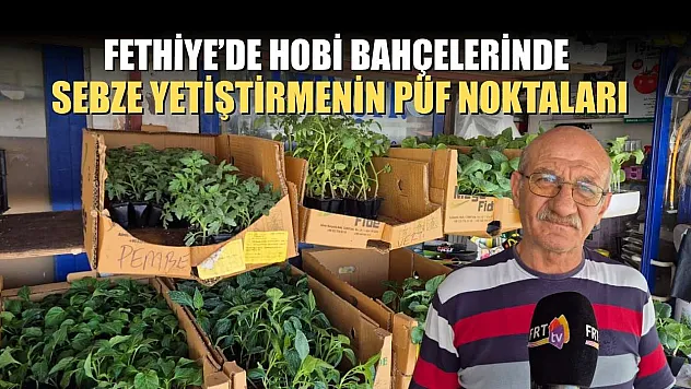 Fethiye'de hobi bahçelerinde sebze yetiştirmenin püf noktaları