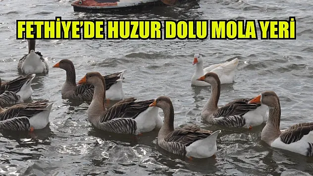 Fethiye'de huzur dolu mola yeri