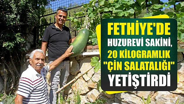 Fethiye'de huzurevi sakini, 20 kilogramlık 'Çin salatalığı' yetiştirdi