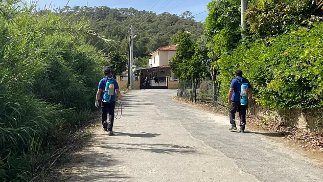 Fethiye'de Karagedik'ten Göcek'e sivrisinekle yoğun mücadele