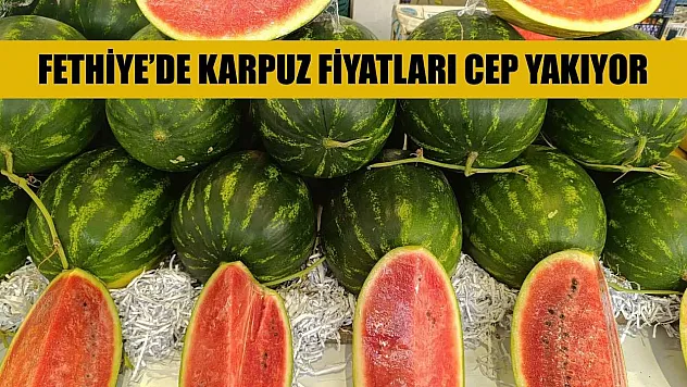 Fethiye'de karpuz fiyatları cep yakıyor