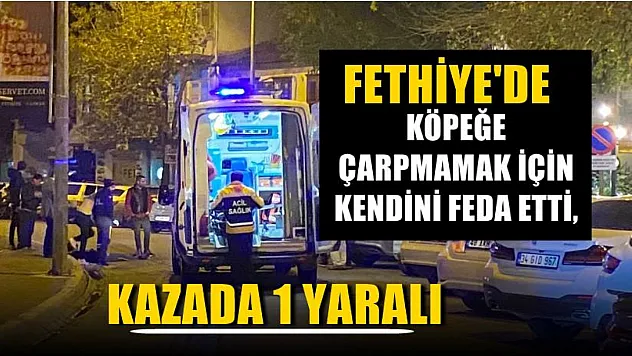 Fethiye'de köpeğe çarpmamak için kendini feda ettİ Kazada 1 yaralı