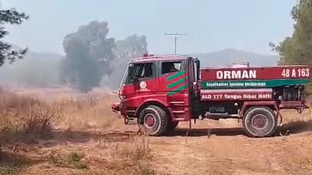 Fethiye'de korkutan yangın! Çöp depolama alanından ormana sıçradı