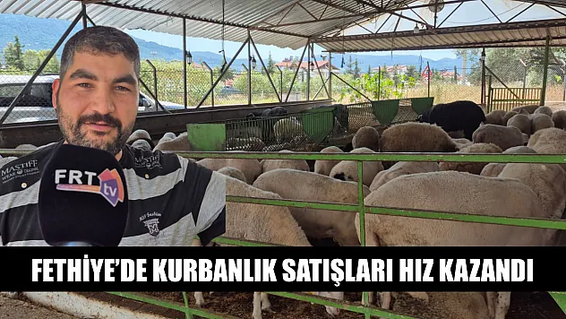 Fethiye'de kurbanlık satışları hız kazandı