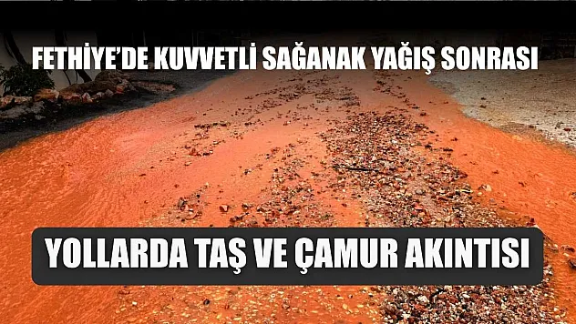 Fethiye'de kuvvetli sağanak yağış sonrası yollarda taş ve çamur akıntısı